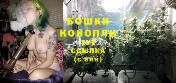 винт Верхний Тагил