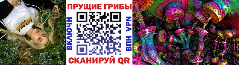 Галлюциногенные грибы Psilocybine cubensis  купить  сайты  Разумное 